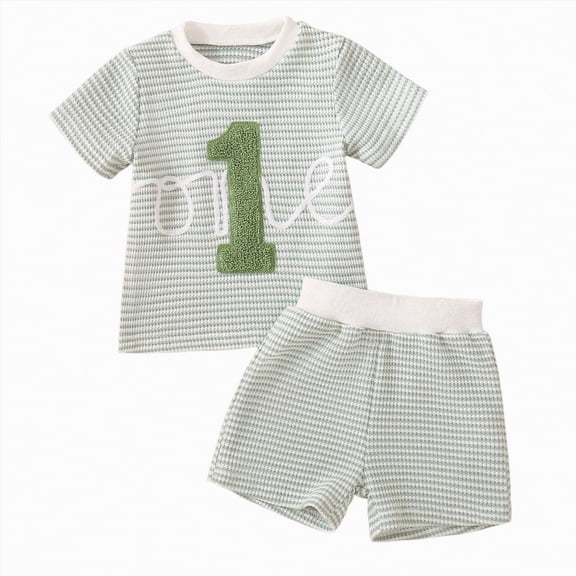 Toddler Baby Boy Girl Summer First Birthday Outfit 12 18 24 Months 2T Short Sleeve Shirt Plaid Shorts Sets Summer Birthday Clothes 2Pcs Gibobby 6-12M,Green