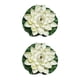thumbnail image 4 of Loto Artificial de EVA Naiovety Color sólido 2piezas Blanco, 4 of 6