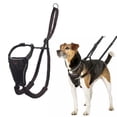 thumbnail image 1 of Arnés para perros HALTI sin tirones, ajustable, ligero, XS, negro, 1 of 5