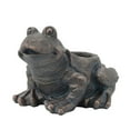 thumbnail image 2 of Benjara BM238458 14 in. Polyresin Frog Planter with Textured Accents, Black, 2 of 5