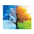 thumbnail image 2 of Kit de pintura por números Gloria artístico decorativo, 2 of 6