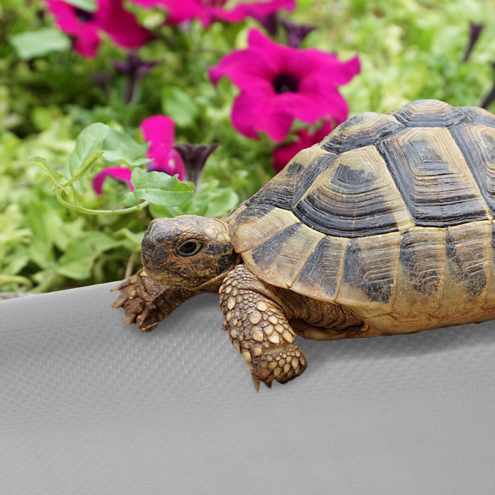OULII Reptile Crawling Mat EVA Terrarium Bedding for Geckos and Lizards