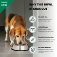 thumbnail image 5 of Iconic Pet - Stainless Steel Non-Skid Pet Bowl for Dog or Cat - 32 oz - 4 Cup, 5 of 10