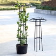 thumbnail image 4 of SDFGTstore Fruit Trellis Metal Garden Climbing Support Wide Stretch Ties for Vertical, 4 of 8