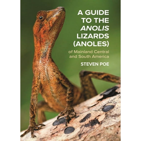 A Guide to the Anolis Lizards (Anoles) of Mainland Central and South America, (Paperback)