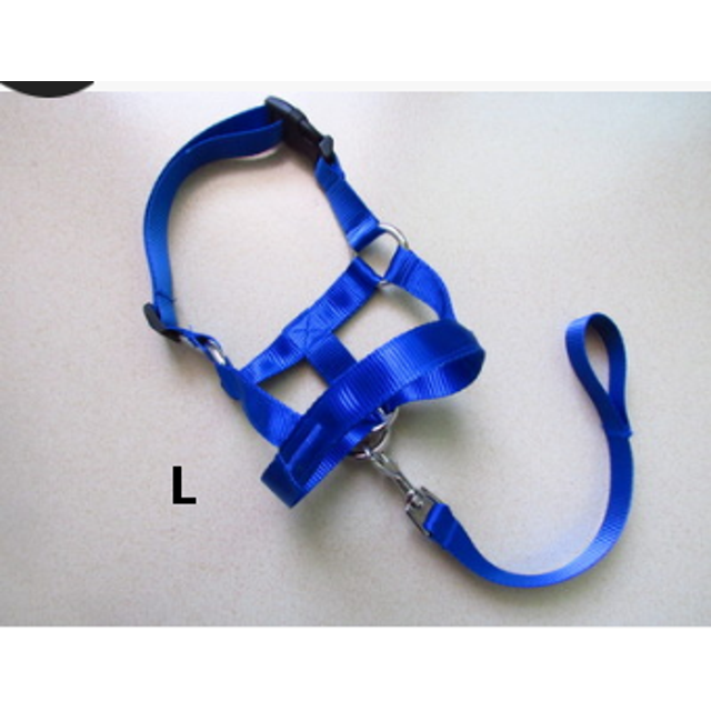 Faithtur Dogs Mouth Rope Gentle Halter Leash Leader Pet Mouth Traction Set Adjustable Head Collar Pet Accessories