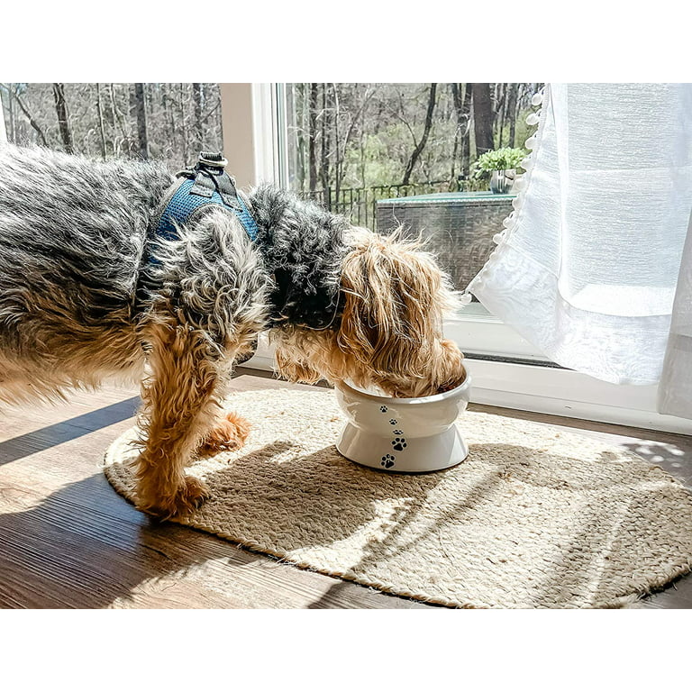 Pet Infinity Food + Water Bowl – Homeplistic