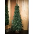 thumbnail image 4 of Vickerman 32" Mini Pine Artificial Christmas Tree, Unlit, 4 of 4