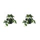 thumbnail image 2 of Plantas artificiales Bewildely hoja de tortuga planta falsa decoración de pared interiores exteriores, 2 of 6