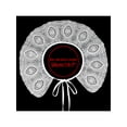 thumbnail image 4 of INSPIRE CHIC Detachable False Collar, Embroidery Mini Cape Neck Ruff Dickey Fake Collar for Blouse White-9, 4 of 5