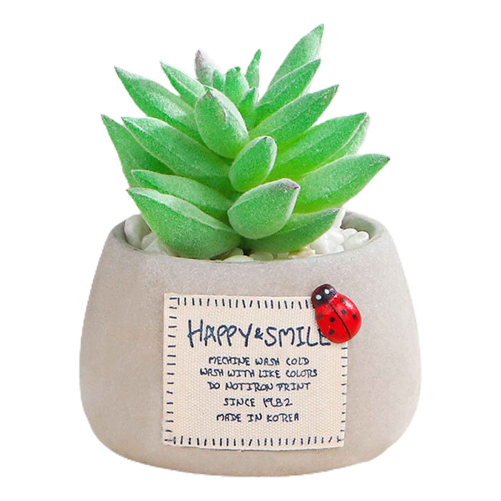 Fake Succulents Bonsai Realistic Everlasting Mini Cement Simulation