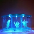 thumbnail image 3 of PPgejGEK Mini Aquarium Fish Tank 28x10x15cm 11x3.9x5.9in LED Light Divider Filter Acrylic Desktop for Small Betta Shrimp, 3 of 9