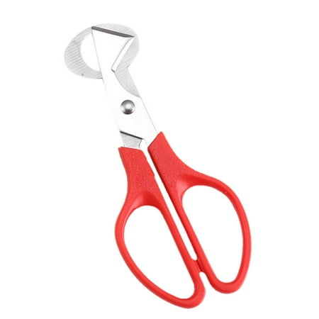 

FTjfrsbc Bird Quail Egg Scissors Pigeon Opener Cutter Cracker Clipper Slicer (Red)