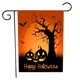 thumbnail image 1 of Naiovety Bandera de jardín de Halloween, bandera decorativa de patio con cara de fantasma de calabaza de doble cara para el hogar, BT02 Kits de decoración para fiestas BT-01 Naiovety HA000513-03B, 1 of 1