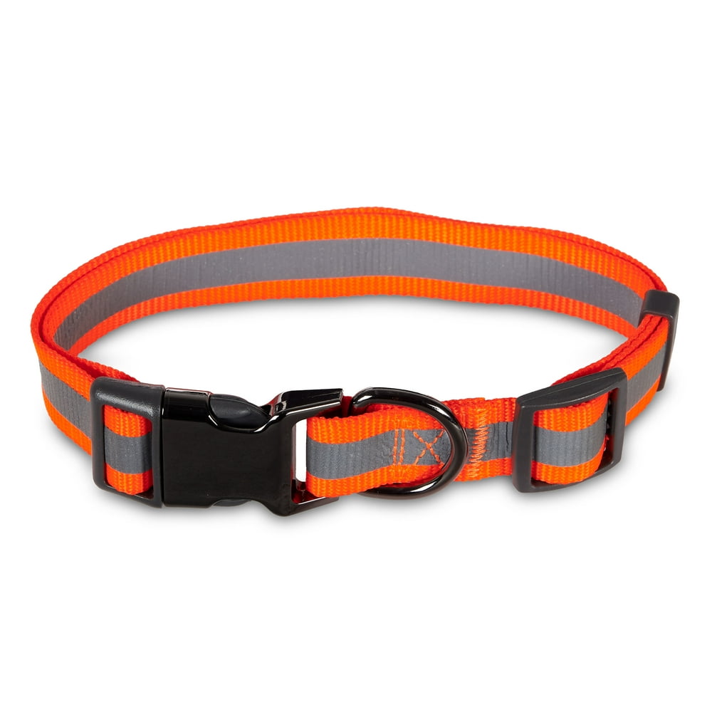 Vibrant Life Solid Nylon Dog Collar with Metal Clasp, Hunter Orange, Large