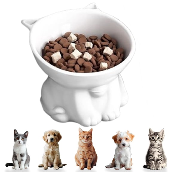 Fmxomd Plastic Cat Bowl with Stand, Microwave & Dishwasher Safe, Cute Pet Food & Water Bowl for Cats and Small Dogs, White
