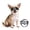 Black, variant on NAMSAN Pet Sunglasses for Tiny Dogs Extra Small Dog Goggles for Outdoor Activities, Black XS