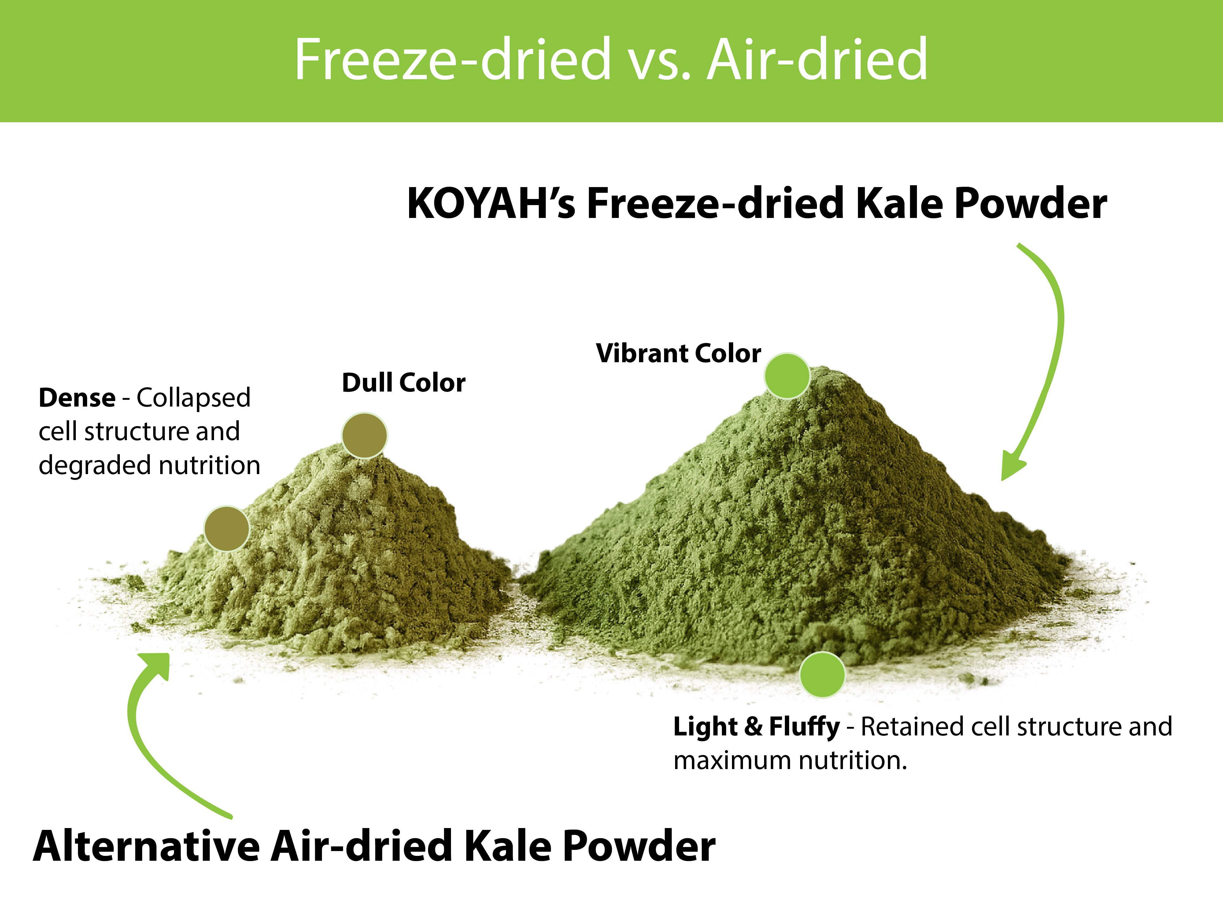 KALE Organic USA Grown Kale Powder (Equivalent to 30 Cups Fresh): Freeze-dried, Whole-Leaf Powder