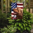 thumbnail image 2 of Carolines Treasures CK6486GF Chesapeake Bay Retriever American Garden Size Outdoor-Flags, Multicolor, 2 of 3