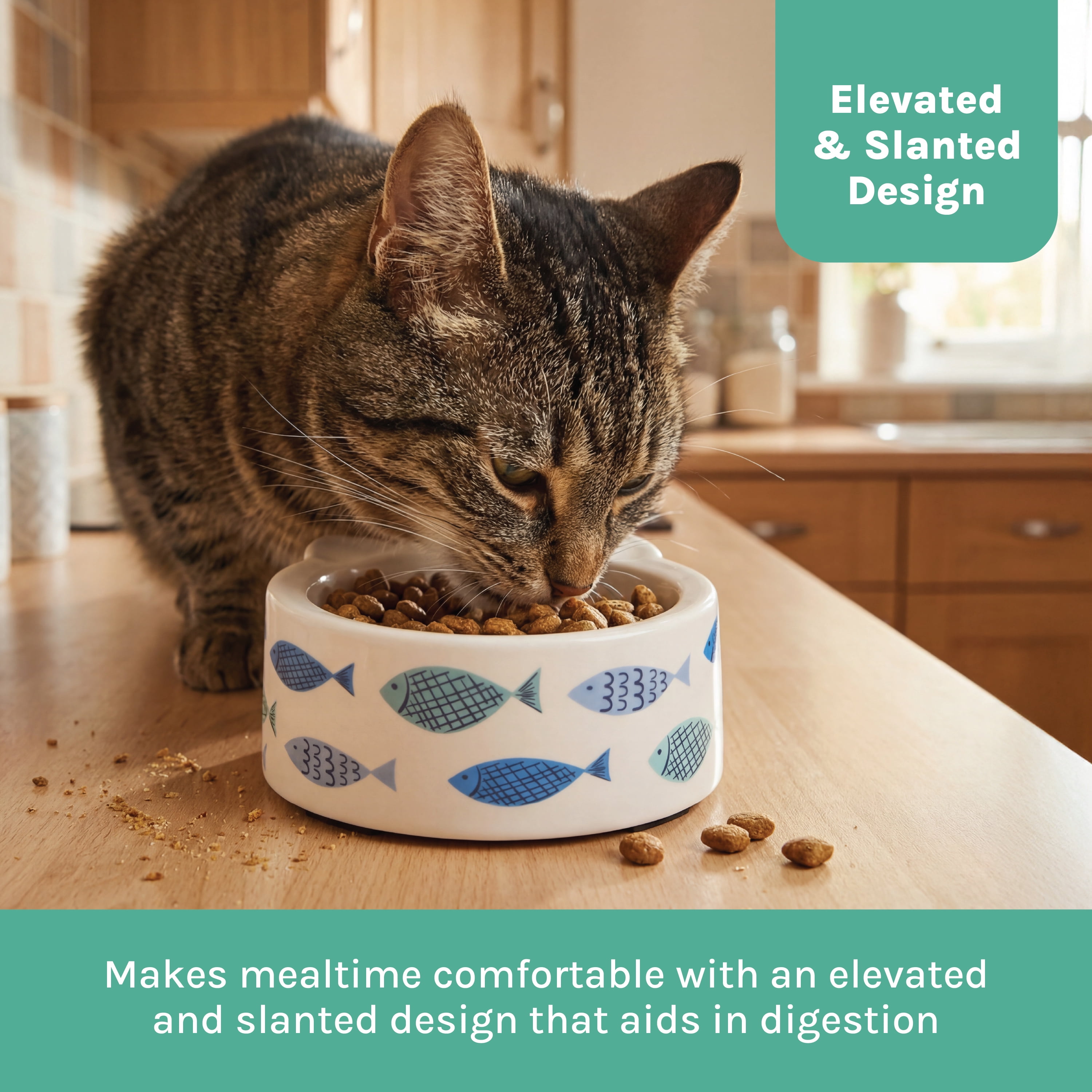 Kitty City Fish Print Dishwasher Safe Plastic Raised Cat Ears Bowl, Blue, One Size