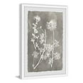 thumbnail image 2 of Marmont Hill Vintage Plant Study I Framed Painting Print, 2 of 3