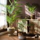 thumbnail image 2 of Palmera Artificial grande de 125cm, rama de plantas tropicales, hojas falsas de plástico, Monstera verde para decoración de Navidad, jardín y habitación del hogar, 2 of 4