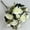 White, variant on AURIGATE Artificial Rose Bouquet Realistic Cloth Floral Stems Light Blue Faux Flowers 12.59in for Easter Spring Home Wedding Table Centerpiece Wreath Decor