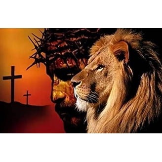 DIY 5D Diamond Painting Plein Forage Kits Lion Résine Cristal Strass Diamant Peinture Point De Croix Broderie Pour Adultes Puzzle Lmage Pour Maison Mur Décor Artisanat Square Drill 25x25cm E8456 DIY 5D Diamond Painting Plein Forage Kits Lion Résine Cristal Strass Diamant Peinture Point De Croix Broderie Pour Adultes Puzzle Lmage Pour Maison Mur Décor Artisanat Square Drill 25x25cm E8456