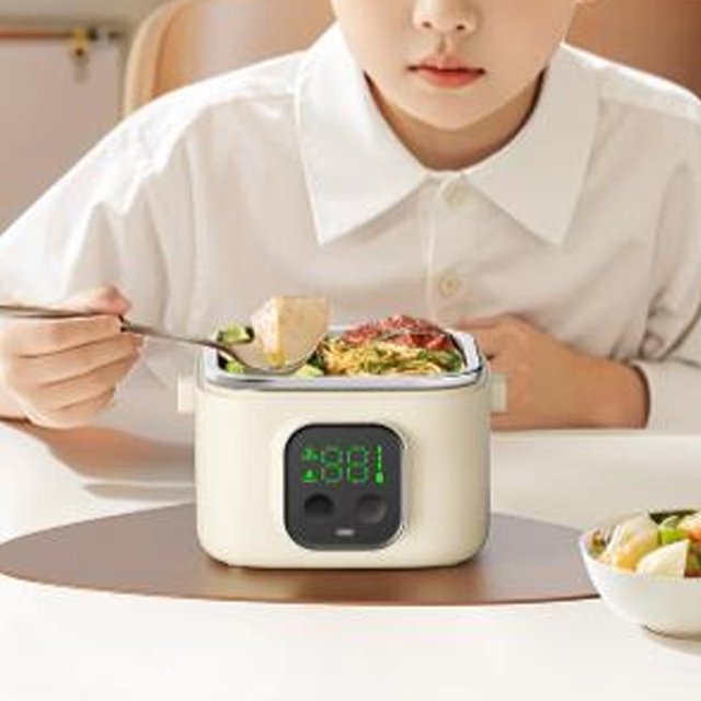 Electric Lunch Box, Self Heating Food Warmer 500ML Leakproof for Boys Girls for School