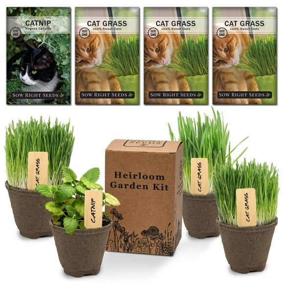 Sow Right Seeds - Heirloom garden Kit for cat Lovers - 4 Seed Packets with Instructions, Pots, Potting Soil, and Plant Markers - Start and grow catnip and cat grass Indoors - Non gMO - Wonderful gift