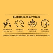 Burts Bees Renewal Firming Eye Cream, 0.5 oz