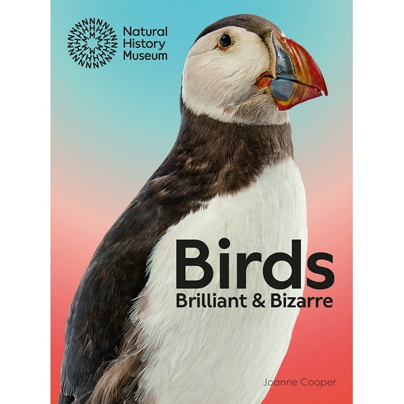 Birds: Brilliant and Bizarre, (Paperback)