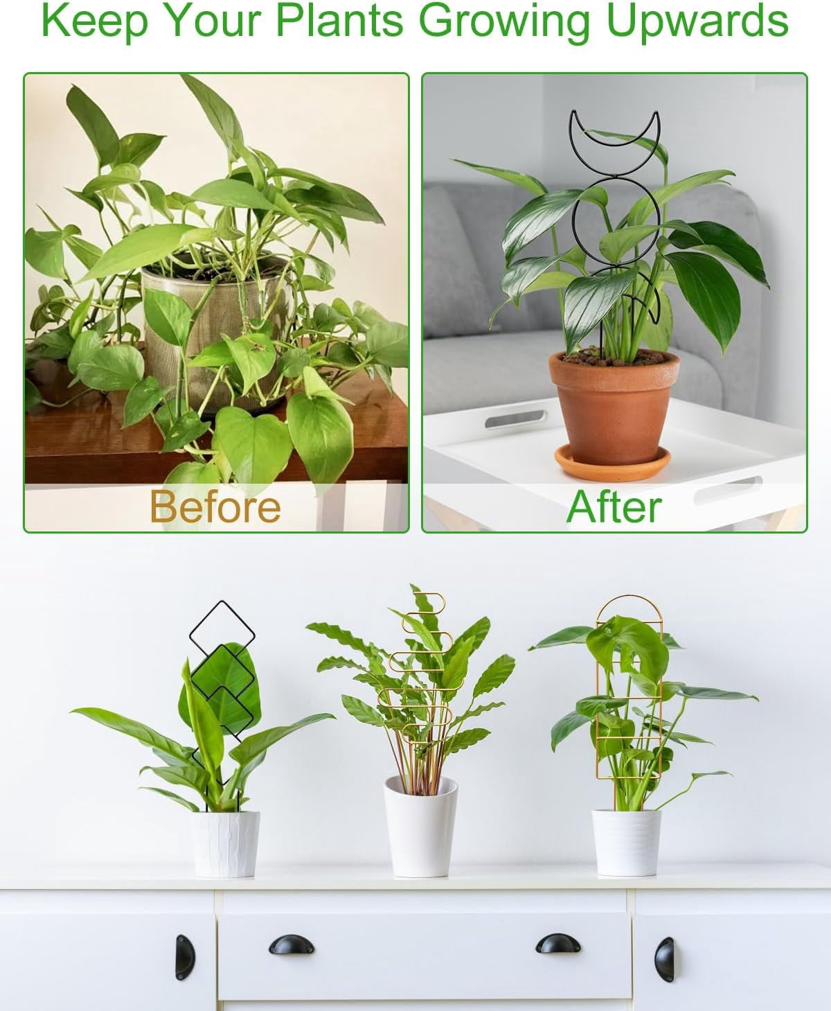 Indoor Climbing Plant Trellis, Metal Garden Trellis Plant Support with Different Patterns for Vine Ivy Flower (Golden)