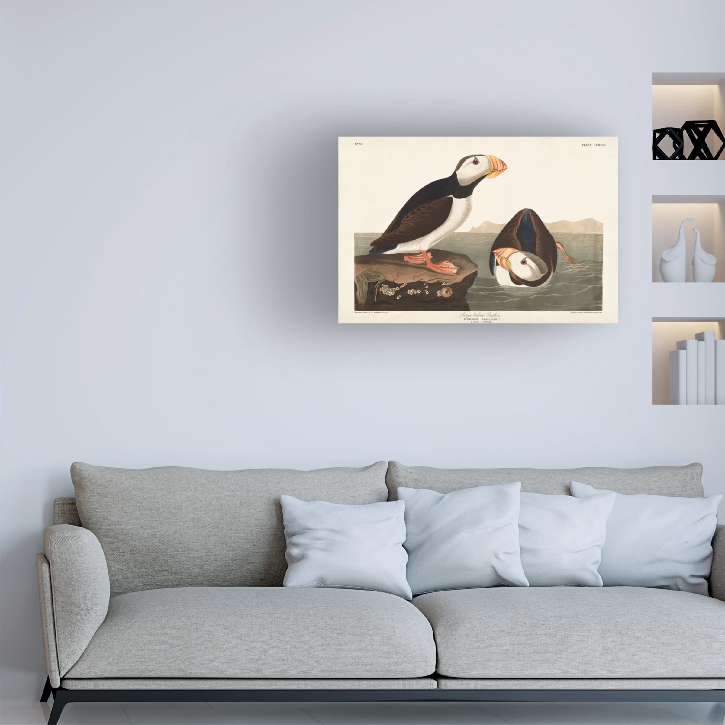 John James Audubon 'Large billed Puffin' Canvas Art
