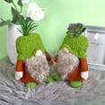 thumbnail image 3 of Promotion Clearance Green Succulent Gnomes Doll With Big Bearded Garden Plants Swedish Plush Gnome Faceless Dolls Dwarf Spring Summer Home Decor, 3 of 6