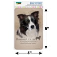 thumbnail image 4 of Border Collie Dog Breed Home Business Office Sign, 4 of 7