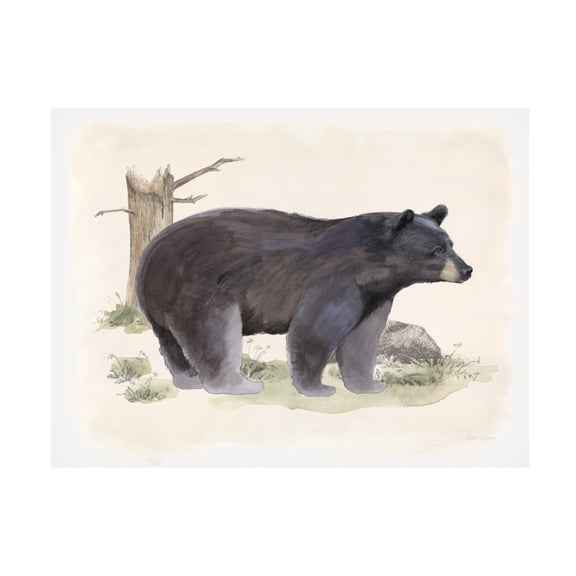 Beth Grove 'Wilderness Collection Bear' Canvas Art