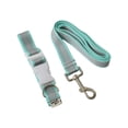 thumbnail image 2 of Juego de correa con collar Infanti Pets turquesa mediana, 2 of 5