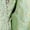 Green, variant on Women Saree Blouse Side Zip Queen Neckline Jacquard Brocade with Gold Zari Embroidery Padded Stitched