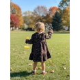 thumbnail image 6 of Happy Town Toddler Baby Girls Dress Floral Ruffled Dress Girls Casual Fall Winter Clothes, 6 of 9