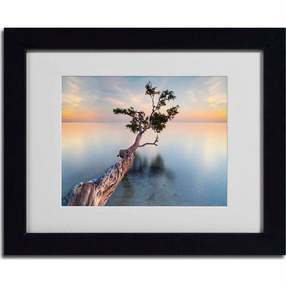 Trademark Fine Art "Water Tree XIV" Matted Framed Art by Moises Levy, Black Frame