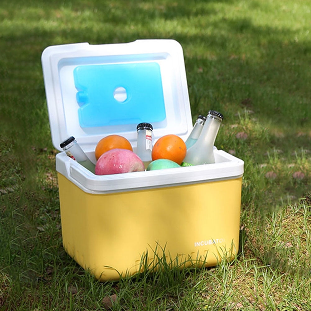 HUISZJ 6L Camping Cooler Box, Multipurpose Insulated Ice Chest, Portable Ice Bucket Outdoor Hard Cooler for Camping Picnic Beach