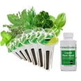 thumbnail image 4 of Kit de capsules de semences Fines herbes AeroGarden (6 capsules), 4 of 5