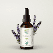 HerbEra Bugleweed Tincture, Organic Herbal Dietary Supplement for Hormonal Balance Support, Certified Organic Bugleweed (Lycopus virginicus) Dried Herb Extract, Natural, Alcohol-Free, Drops 2 oz