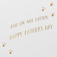 thumbnail image 3 of American Greetings Father's Day Card from the Cat (Meow-velous Dad), 3 of 5