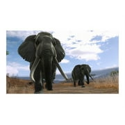 Cabelas Dangerous Hunts 2013 - PlayStation 3