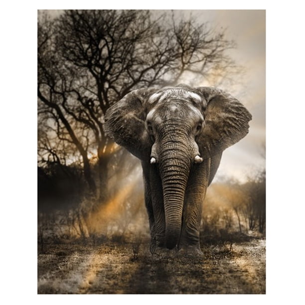 Wdftyju DIY 5D elefante completo taladro redondo diamante pintura bordado decoración del hogar Wdftyju 2qy0he7wr5pl0va7