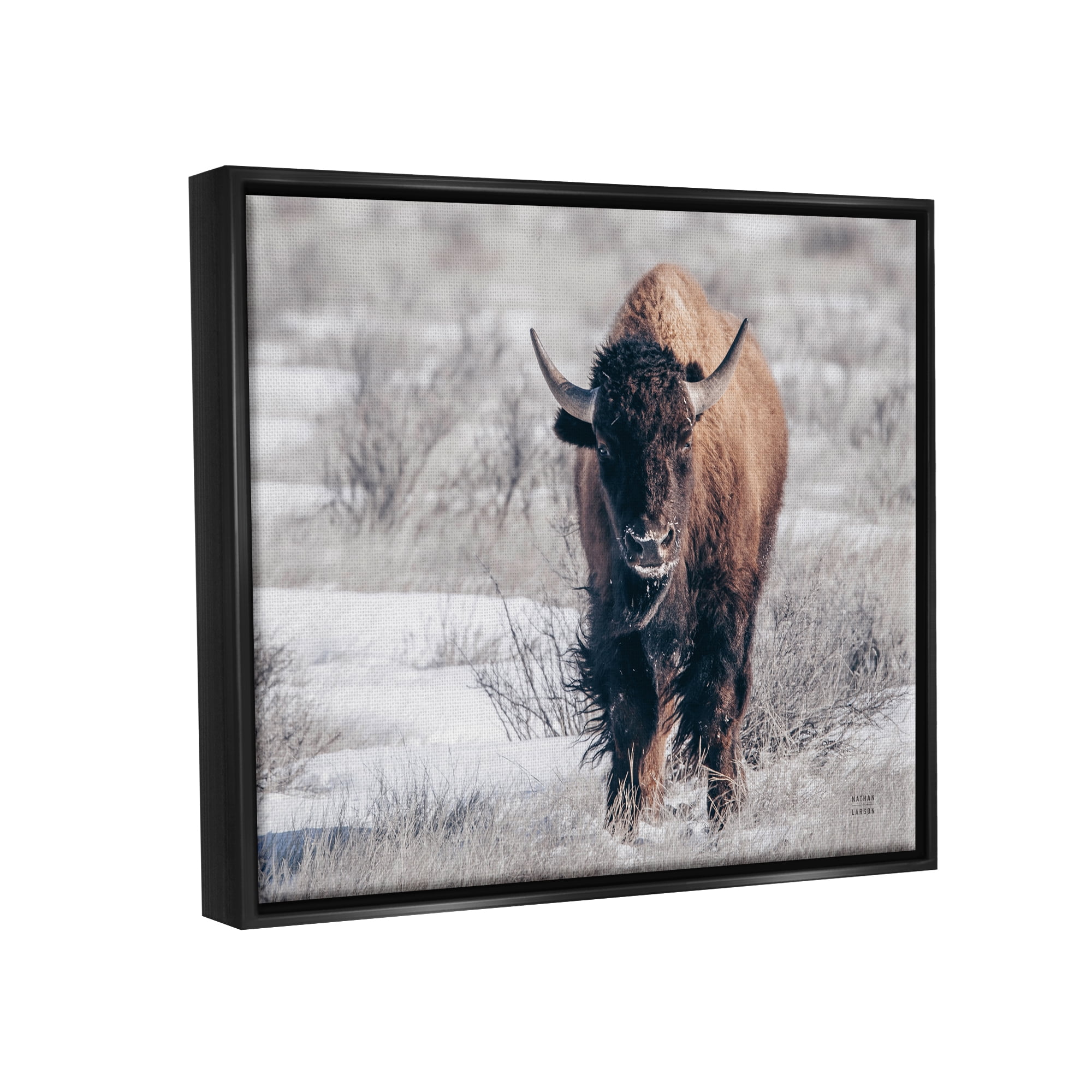 Stupell Industries Bison in Rural Snow Scene Animals & Insects Photography Black Floater Framed Art Print Wall Art, 21 x 17