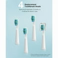 thumbnail image 7 of Fairywill White Replacement Heads, 4pcs Sonic Electric Toothbrush Brush Heads for 507 Fairywill Powered Toothbrush, 7 of 7
