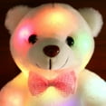 thumbnail image 2 of Colorful LED Glowing Small Bear Stuffed Doll Night Light Animals Plush Toys for Kids;Colorful LED Glowing Small Bear Stuffed Doll Night Light Animals Plush Toys, 2 of 6